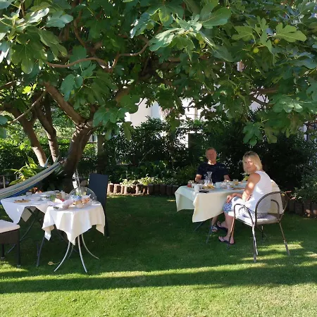 Dei Pini كانوبيو