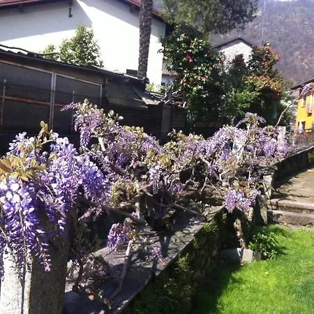 Dei Pini カンノビオ