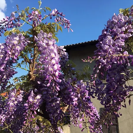 Dei Pini Alojamento de Acomodação e Pequeno-almoço Cannobio