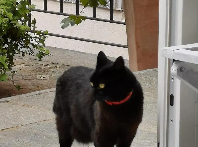 Dei Pini Alojamento de Acomodação e Pequeno-almoço 3*