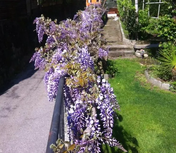 ベッド・アンド・ブレックファスト Dei Pini