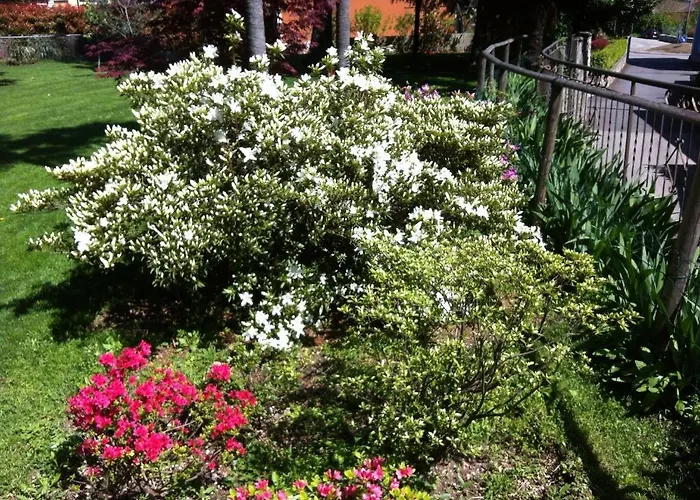 Dei Pini Alojamento de Acomodação e Pequeno-almoço Cannobio