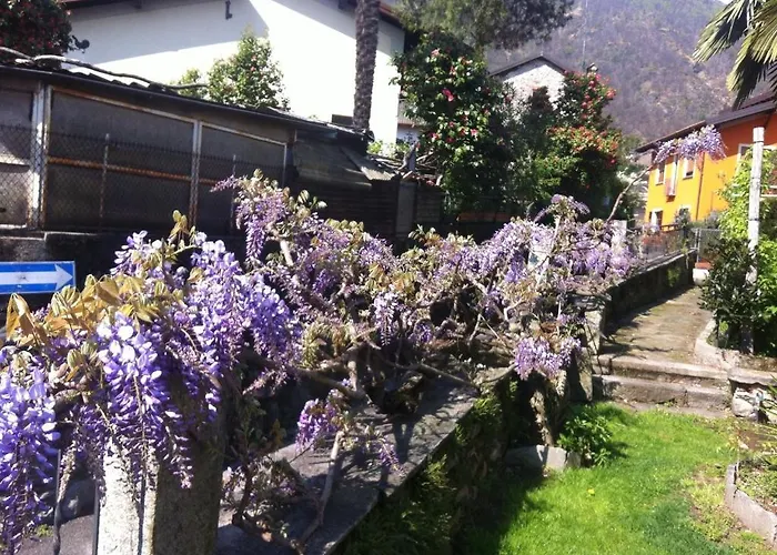 Dei Pini カンノビオ